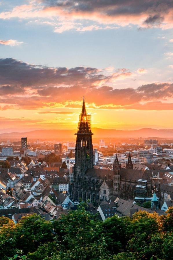 City Lux Apartment In Der Stadt Freiburg im Breisgau Eksteriør billede
