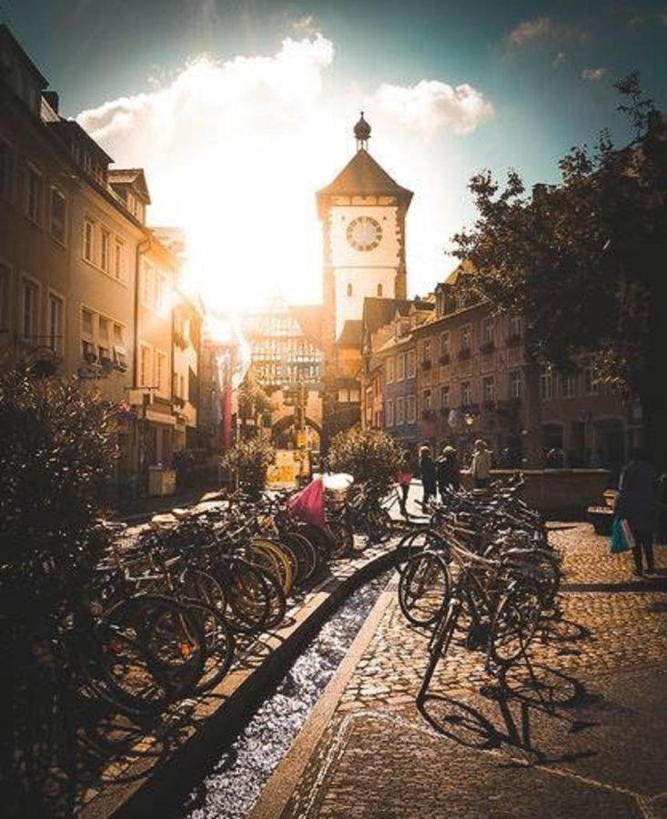 City Lux Apartment In Der Stadt Freiburg im Breisgau Eksteriør billede